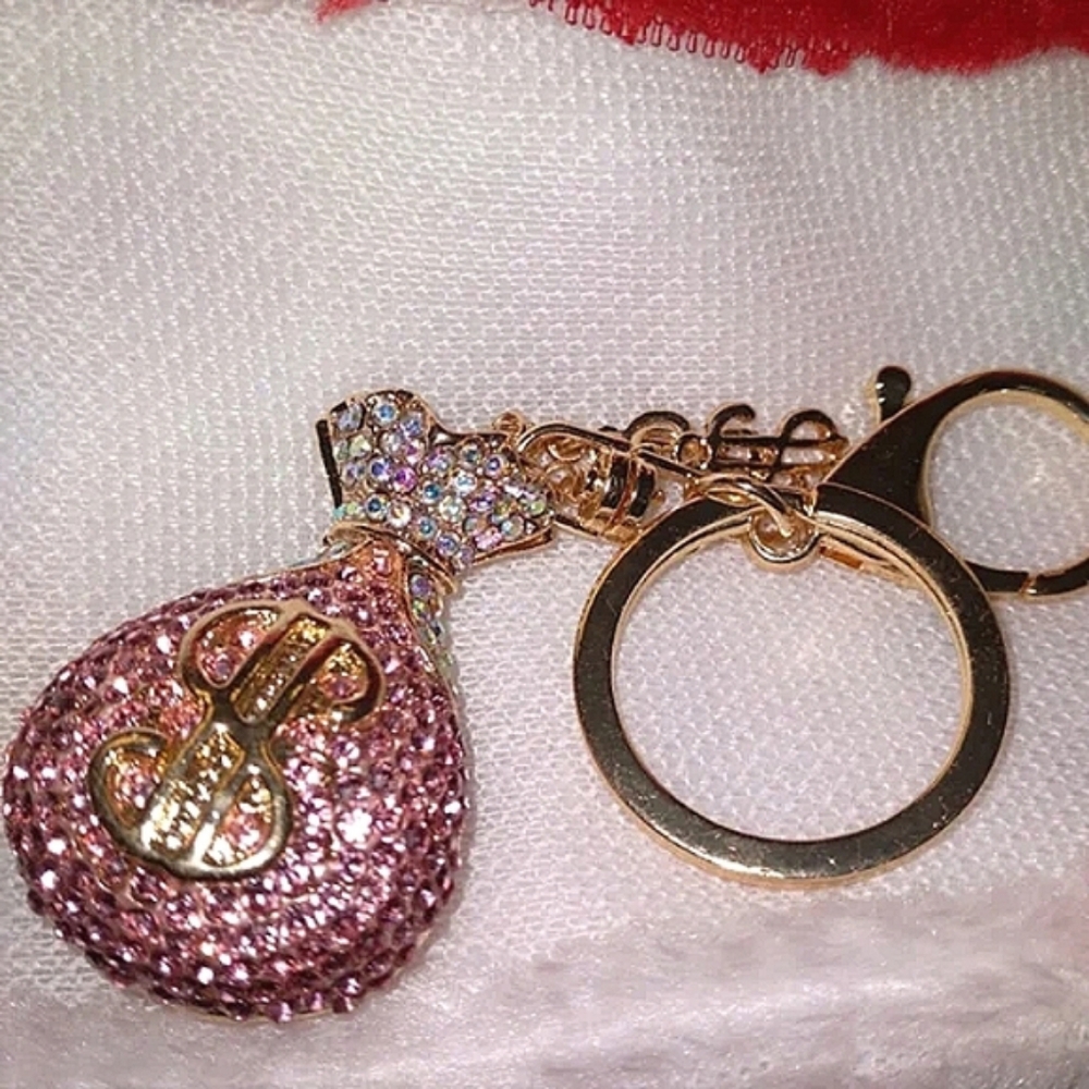 Money Bag Keychain - Picture 8 of 9